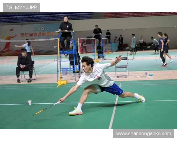 南京羽毛球队实力提升背后的变革与挑战分析