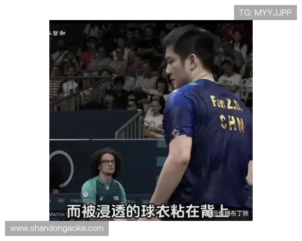 武汉乒乓球队与成都乒乓球队赛后分析与节奏对比探讨
