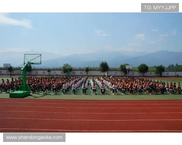 Team Liquid战队崭新征程揭幕 荣耀与挑战并存的新篇章